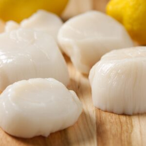 Fresh Jumbo Dry Diver Sea Scallops