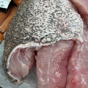 Fresh Wild Carolina Grouper