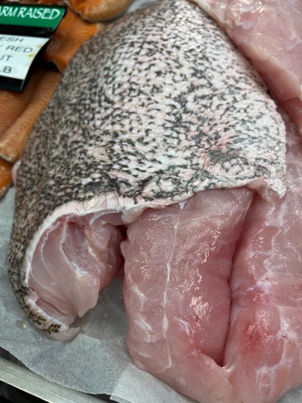 Fresh Wild Carolina Grouper