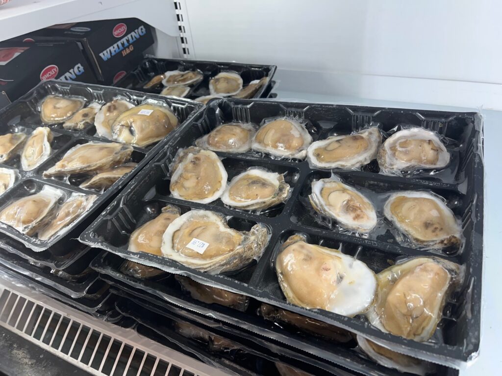 Frozen Half Shell Oysters (1 dozen) Highland Fish Market