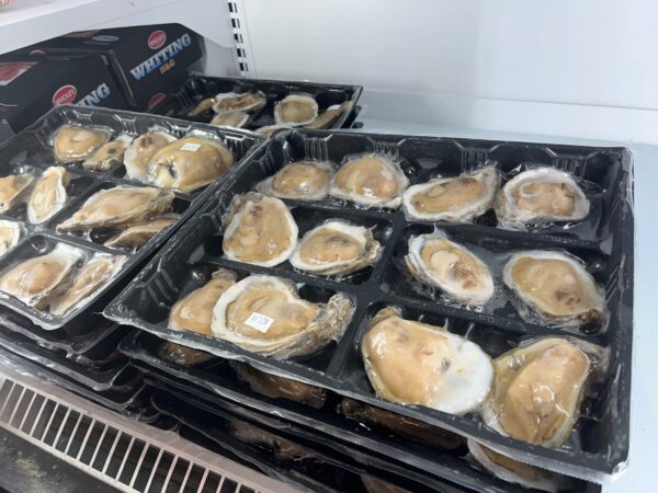 Frozen Half Shell Oysters (1 dozen)