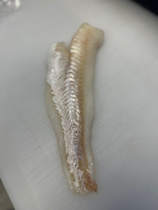 Wild Caught East Coast Cod