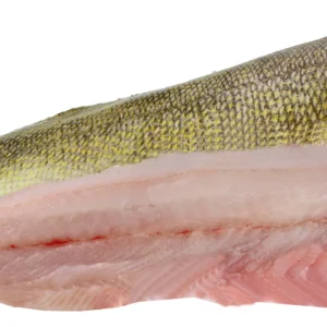 Fresh Wild Lake Superior Walleye