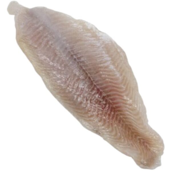 Frozen Alabama Catfish Fillets