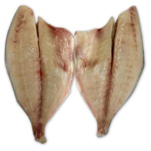 Florida Pompano